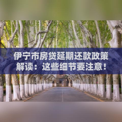 伊宁市房贷延期还款政策解读：这些细节要注意！