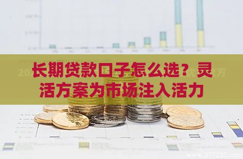 长期贷款口子怎么选？灵活方案为市场注入活力
