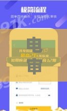 电审必看！盘点5个快速下款的贷款平台，这些口子别错过