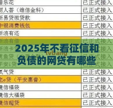 2025年不看征信和负债的网贷有哪些？这些平台申请前必看！