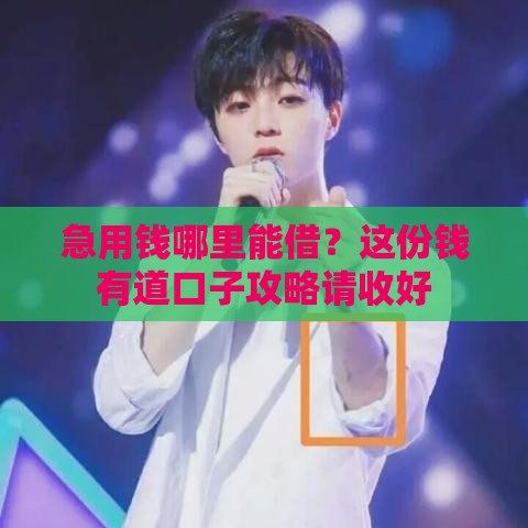 急用钱哪里能借？这份钱有道口子攻略请收好