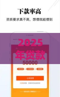2025年贷款必下口子！手把手教你三招轻松过审