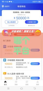 哪个平台下款最容易？