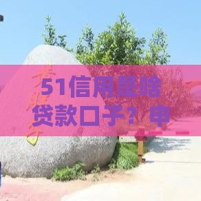 51信用是啥贷款口子？申请条件和流程全解析