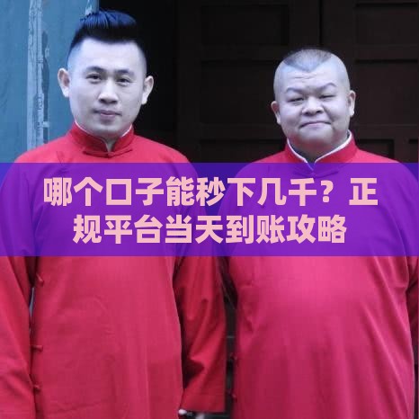 哪个口子能秒下几千？正规平台当天到账攻略