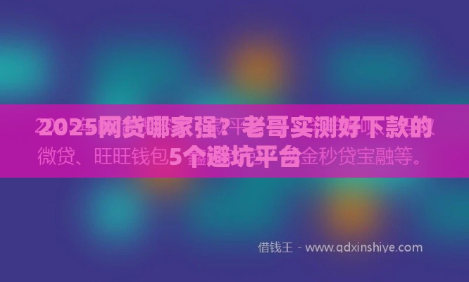 2025网贷哪家强？老哥实测好下款的5个避坑平台