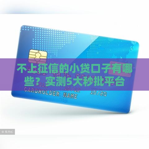不上征信的小贷口子有哪些？实测5大秒批平台