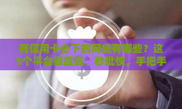 有信用卡必下的网贷有哪些？这5个平台额度高、秒批快，手把手教你拿钱！