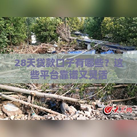 28天贷款口子有哪些？这些平台靠谱又灵活