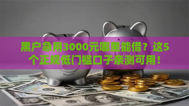 黑户急用3000元哪里能借？这5个正规低门槛口子亲测可用！