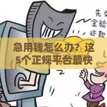 急用钱怎么办？这5个正规平台最快5分钟到账，选对方法很重要！