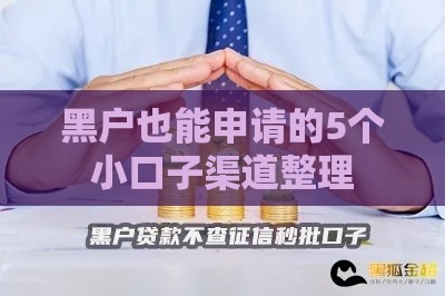 黑户也能申请的5个小口子渠道整理