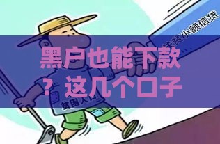 黑户也能下款？这几个口子亲测有效，