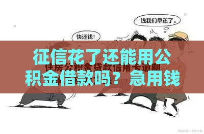 征信花了还能用公积金借款吗？急用钱必看的3个补救技巧！