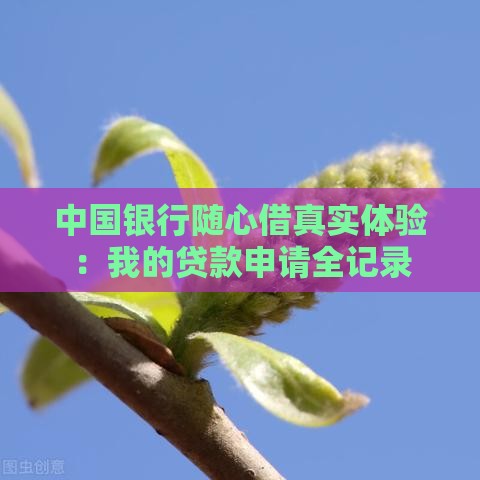 中国银行随心借真实体验：我的贷款申请全记录