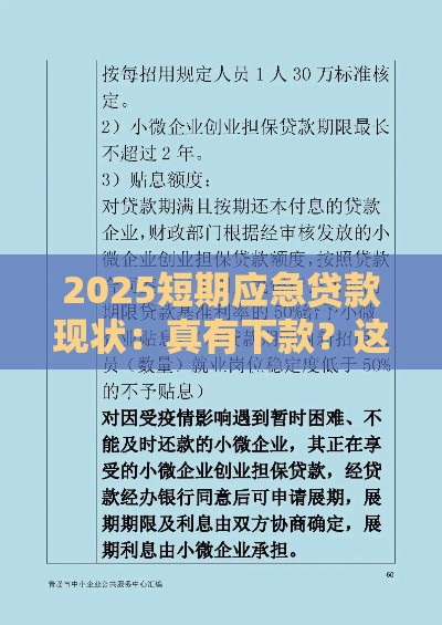 2025短期应急贷款现状：真有下款？这些避坑技巧得知道