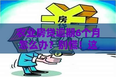 农业房贷逾期6个月怎么办？别慌！这5招帮你化解危机