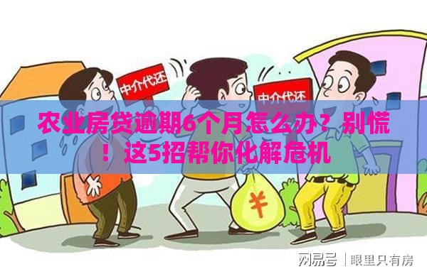 农业房贷逾期6个月怎么办？别慌！这5招帮你化解危机