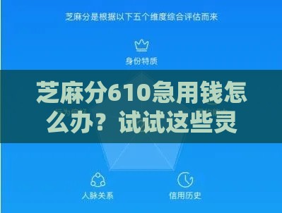 芝麻分610急用钱怎么办？试试这些灵活借款平台