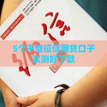 5个不查征信网贷口子实测好下款