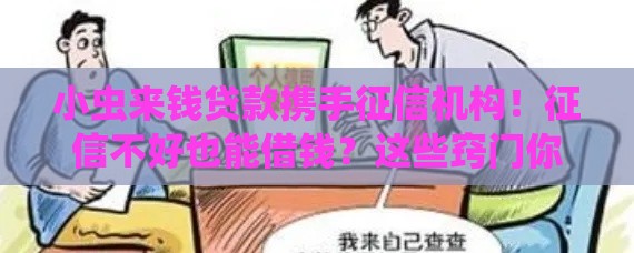 小虫来钱贷款携手征信机构！征信不好也能借钱？这些窍门你得懂