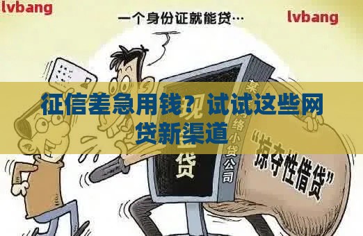 征信差急用钱？试试这些网贷新渠道