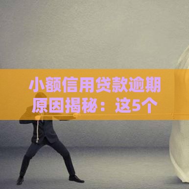 小额信用贷款逾期原因揭秘：这5个坑你踩过吗？