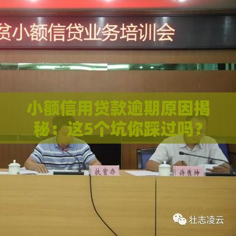 小额信用贷款逾期原因揭秘：这5个坑你踩过吗？