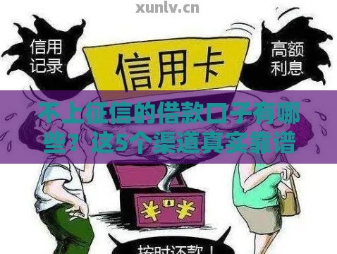 不上征信的借款口子有哪些？这5个渠道真实靠谱！