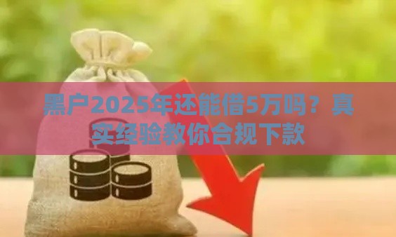 黑户2025年还能借5万吗？真实经验教你合规下款