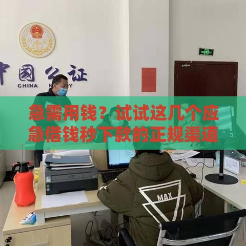 急需用钱？试试这几个应急借钱秒下款的正规渠道！