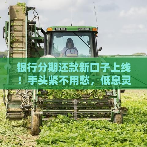 银行分期还款新口子上线！手头紧不用愁，低息灵活还款攻略来啦