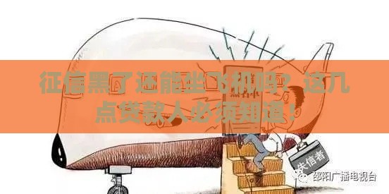 征信黑了还能坐飞机吗？这几点贷款人必须知道！