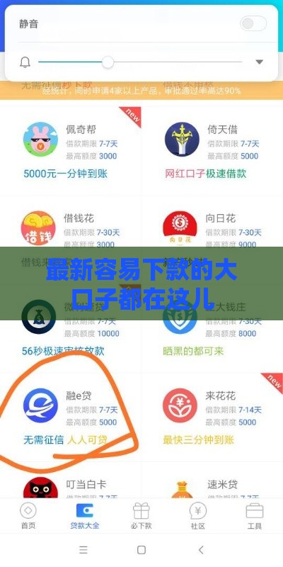 最新容易下款的大口子都在这儿