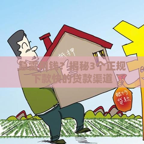 急需用钱？揭秘3个正规下款快的贷款渠道