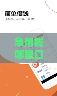 急用钱哪里口子放款快？这5个正规渠道最快30分钟到账