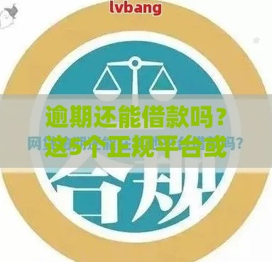 逾期还能借款吗？这5个正规平台或许能帮到你