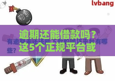 逾期还能借款吗？这5个正规平台或许能帮到你
