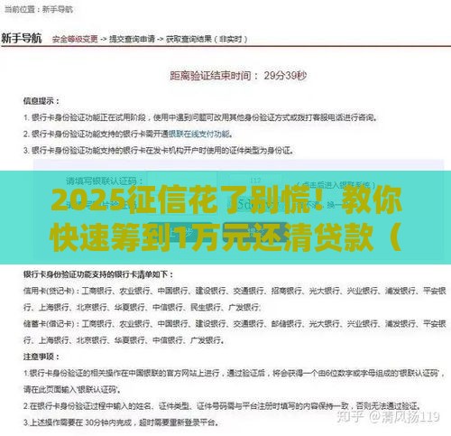 2025征信花了别慌！教你快速筹到1万元还清贷款（真实经验分享）