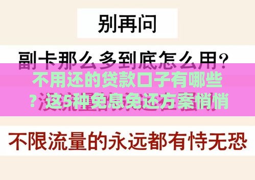 不用还的贷款口子有哪些？这5种免息免还方案悄悄告诉你！