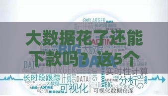 大数据花了还能下款吗？这5个靠谱口子助你应急