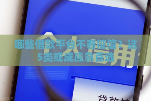 哪些借款平台不看征信？这5类或成应急首选