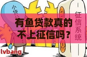 有鱼贷款真的不上征信吗？一文看懂征信影响和避坑技巧