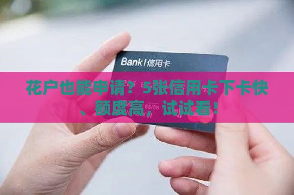 花户也能申请？5张信用卡下卡快、额度高，试试看！