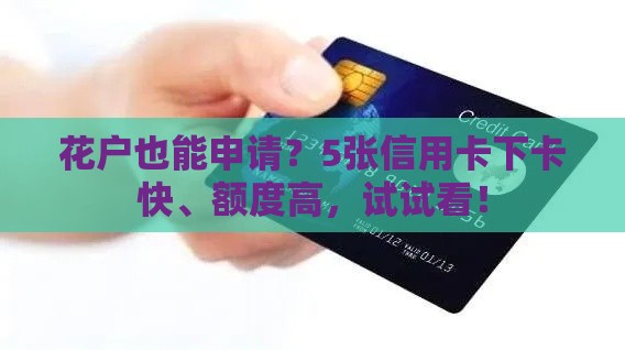 花户也能申请？5张信用卡下卡快、额度高，试试看！