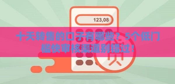 十天转售的口子有哪些？5个低门槛快审核渠道别错过！