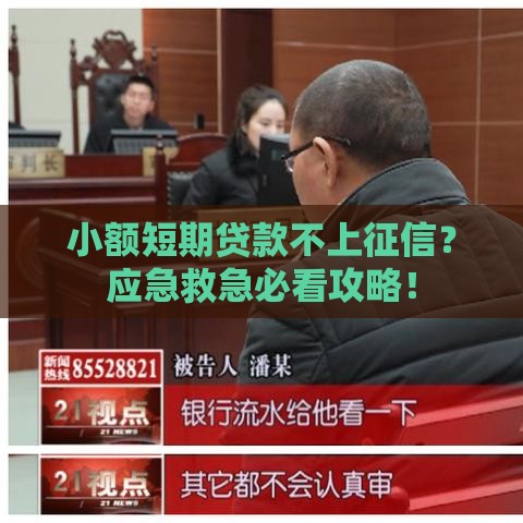 小额短期贷款不上征信？应急救急必看攻略！
