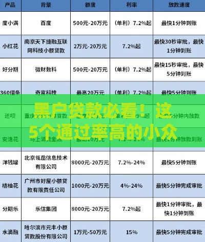 黑户贷款必看！这5个通过率高的小众平台实测