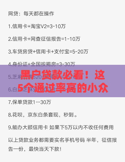 黑户贷款必看！这5个通过率高的小众平台实测
