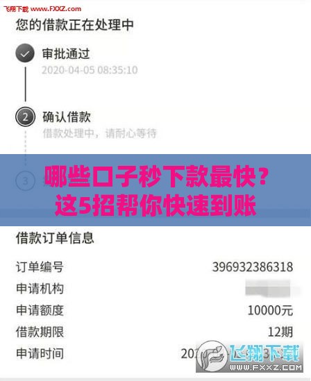 哪些口子秒下款最快？这5招帮你快速到账